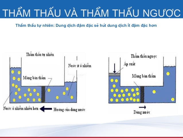 Thẩm thấu và thẩm thấu ngược